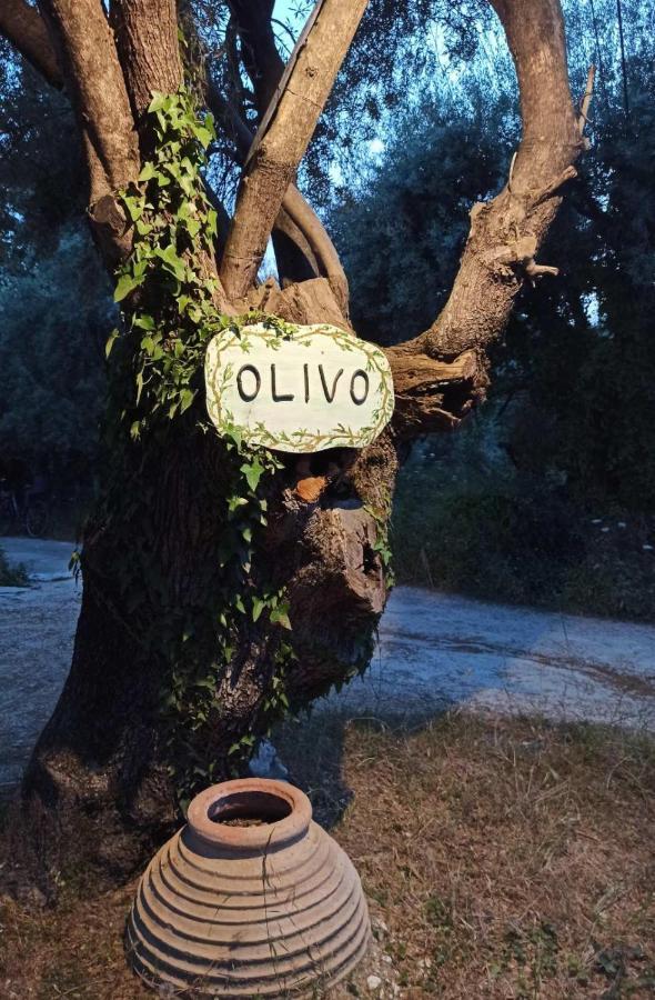 Olivo Nydri 아파트 외부 사진