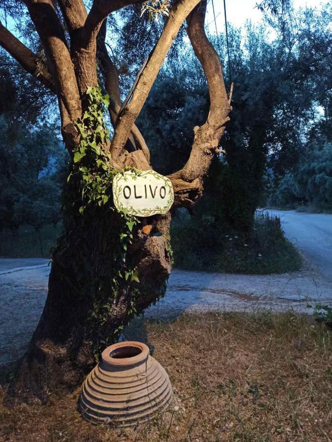 Olivo Nydri 아파트 외부 사진