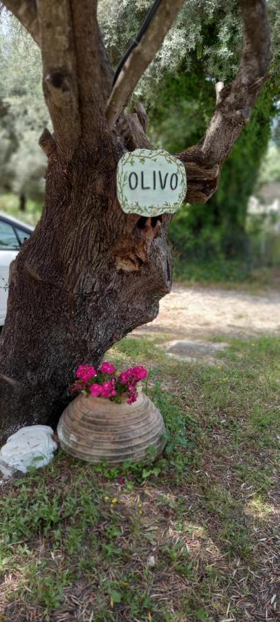 Olivo Nydri 아파트 외부 사진
